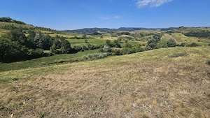 Teren 4.454 mp de vânzare în Sichevița - imagine 3