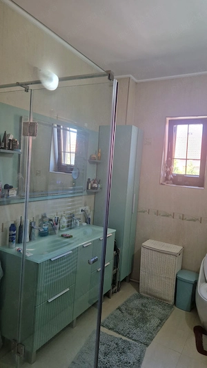 Vand casa Mandruloc constructie 2009 cu 450 mp utili pe 3.000 mp teren cu gazon si livada - imagine 14