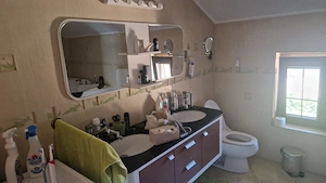 Vand casa Mandruloc constructie 2009 cu 450 mp utili pe 3.000 mp teren cu gazon si livada - imagine 12