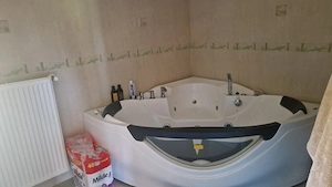 Vand casa Mandruloc constructie 2009 cu 450 mp utili pe 3.000 mp teren cu gazon si livada - imagine 11