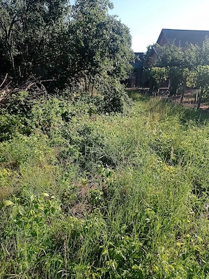 De vânzare teren intravilan in comuna Gurahonț.  - imagine 4