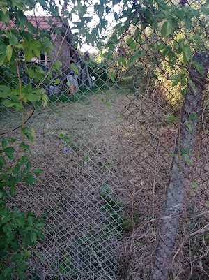 De vânzare teren intravilan in comuna Gurahonț.  - imagine 2