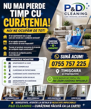servicii profesionale de curatenie 