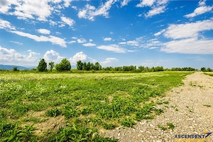 6 parcele cu autorizatie de construire si proiect aprobat: Stupinii Prejmerului, Brasov - imagine 7