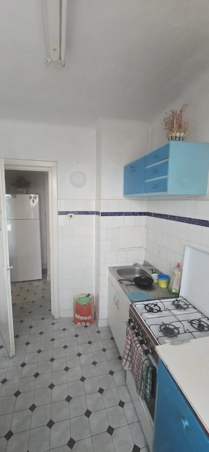 apartament ultracentral langa hale str Emil Zola