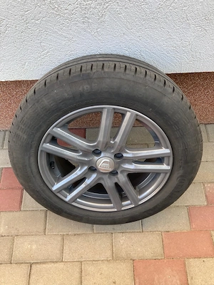 Vand jante aluminium cu caciurcuri Logan