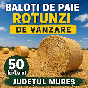 Vând baloți de paie orz 