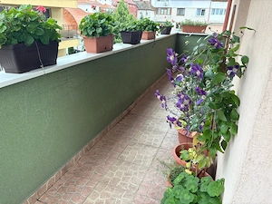 Vindem apartament 3 camere, decomandat, str. Somesului-zona stadionul Floresti - imagine 10