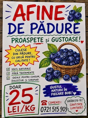 Afine de pădure bio 