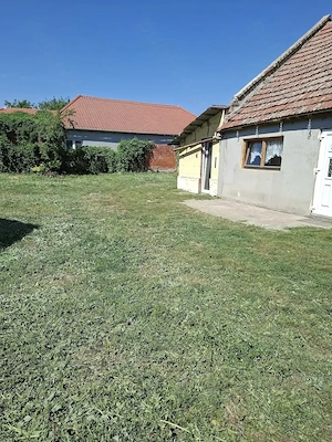 vind casa in jimbolia st Cal. Kikindei nr5 - imagine 6