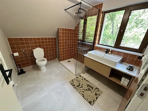 Casa cu 5 camere si teren 3090mp de vanzare - imagine 9