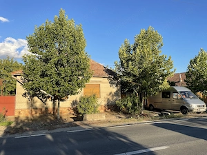 Vand casa in Sannicolau mare