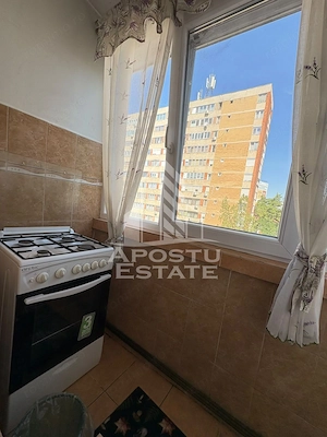 Apartament cu 2 camere de inchiriat in zona Dacia - Torontal - imagine 5