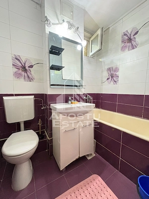Apartament cu 2 camere de inchiriat in zona Dacia - Torontal - imagine 10