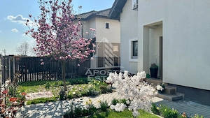Casa individualade vanzare cu 4 camere, teren 816 mp, Dumbravita - imagine 19