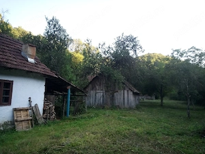 Vand Casa Halmagiu Sat Tisa cu 2 Suri  - imagine 5