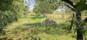 Teren extravilan de vanzare, 4000 mp, zona Simeria - imagine 5