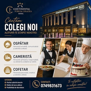 Angajam Personal pentru Hotelul nostru 