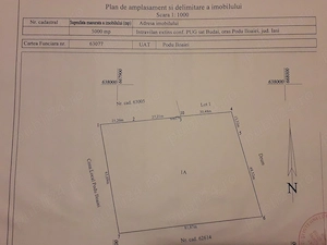 Teren intravilan, 5000 m2, Budăi, orașul Podu Iloaiei - imagine 6