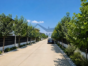 Casă Berceni | Complex Privat | Panouri Fotovoltaice | Teren 360 mp - imagine 17