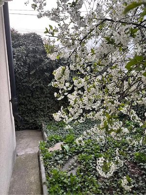 Casă de vânzare in Tecuci, noua!!! - imagine 10