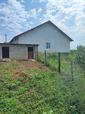 Vând casă si două anexe + 1 hectar teren intravilan - imagine 7