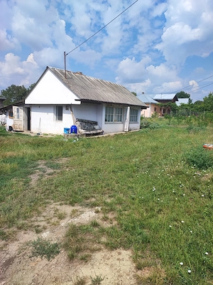 Vând casă si două anexe + 1 hectar teren intravilan - imagine 2