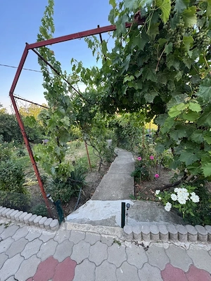 Casa individuala, 96 mp, teren, 1.125 mp, zona Podari - imagine 9