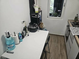 Apartament 2  camere de inchiriat Alexandru Obregia - Piata Straduintei - imagine 5