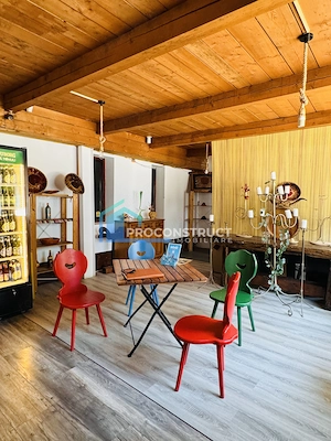 Restaurant de vânzare|Timișoara|Complexul Studetesc|130 mp|Utilat| - imagine 9
