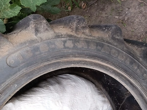 Cauciuc față tractor case jx95,cauciuc față U650,ptr.jx95 500 RON. ptr.U650 350ron.ambele sunt neg. - imagine 2