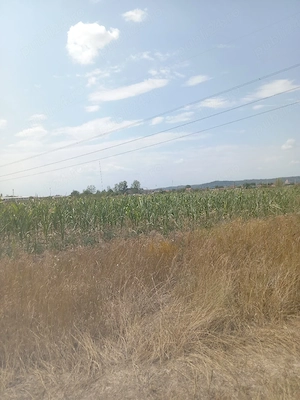Teren intravilan în Osorhei - imagine 2