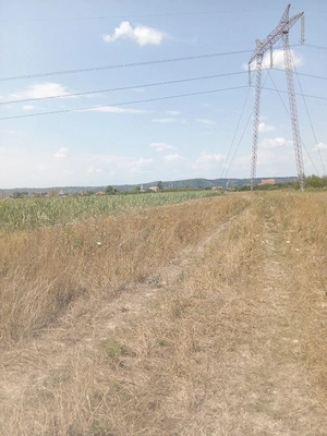 Teren intravilan în Osorhei - imagine 3
