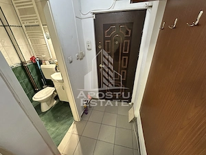 Spatiu comercial de vanzare, 2 camere, Sagului P-ta Doina - imagine 4