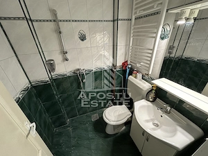 Spatiu comercial de vanzare, 2 camere, Sagului P-ta Doina - imagine 5