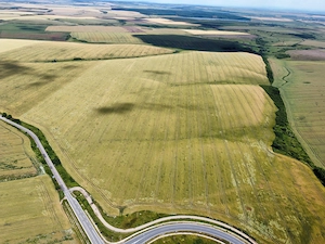 Teren la sosea Ortisoara - Autostrada A1 - imagine 19