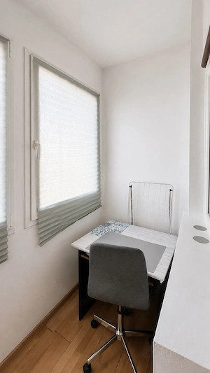 Apartament 1 camera de inchiriat | Take Ionescu | Aproape de UMFT | - imagine 5