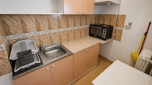Apartament 1 camera de inchiriat | Take Ionescu | Aproape de UMFT | - imagine 4
