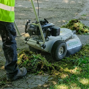 Cositoare cu motor pentru pavaje si borduri Etesia MBR50 - imagine 3