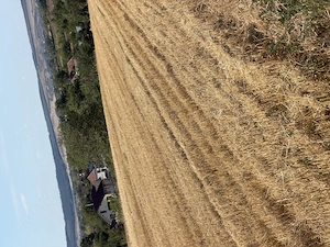 Teren intravilan 2.700 mp, Săcădat, panoramă, utilități, 25 m front - imagine 3