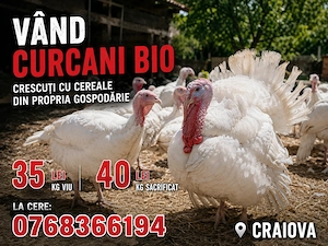 Pt mai multe detalii la telefon  