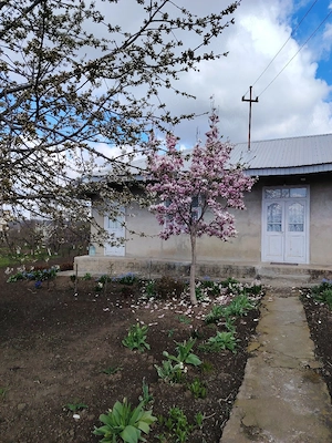 vand casa cu 5 camere - imagine 3