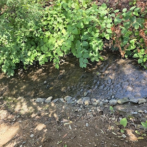 Casă de vânzare Baia Mare -Valea Borcutului  - imagine 10