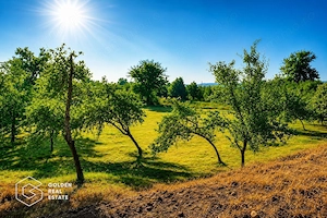 Teren agricol extravilan 250,47 ha, Șiștarovăț, județul Arad - imagine 2