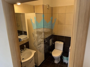  Apartament 3 Camere Vacaresti Bucuresti - imagine 16