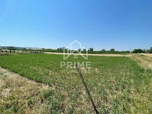 Teren 1165mp | proiect autorizat pt Casa | Zona Oarda de Jos - Alba Iulia - imagine 4