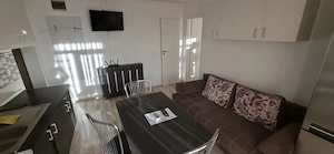 !! Apartament 1 Camera... Dumbravita...7min de Lidl - imagine 5
