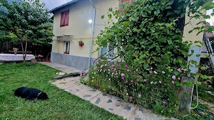 Apartament de inchiriat, la casa- Busteni-cartier Zamora