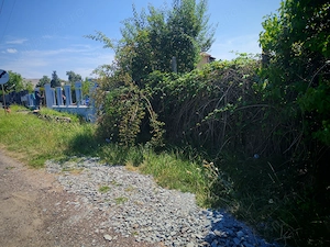 Dumbravei, teren intravilan ,45,5 ari ,utilitati la strada, front stradal 20,5 m,pret 5300 euro ar