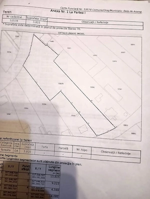 Teren Intravilan de Vânzare în Baia de Aramă 3815mp - imagine 3